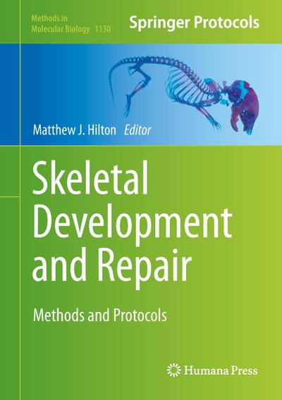 Skeletal Development and Repair