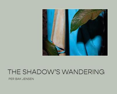 The Shadow’s Wandering