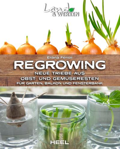 Regrowing -  Neue Triebe aus Obst- und Gemüseresten