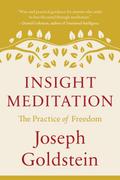 Insight Meditation
