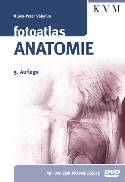 Fotoatlas Anatomie, m. DVD