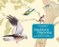 Federkleid & Flügelschlag: 100 Vogelarten im P
