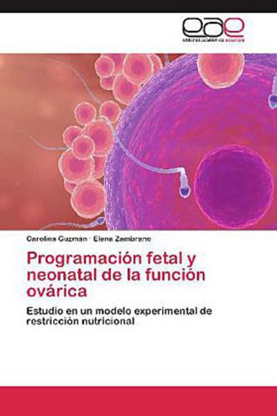 Programación fetal y neonatal de la función ovárica