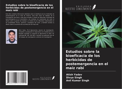 Estudios sobre la bioeficacia de los herbicidas de postemergencia en el maíz rabi
