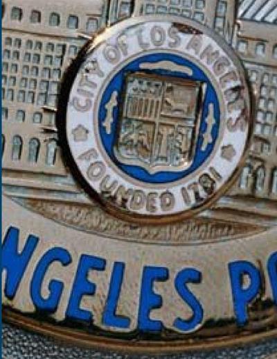 CALIFORNIA CODES, A REFERENCE BOOK FOR LAW ENFORCEMENT 2017