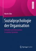 Sozialpsychologie der Organisation