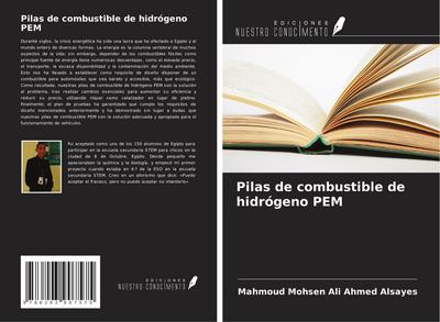 Pilas de combustible de hidrógeno PEM