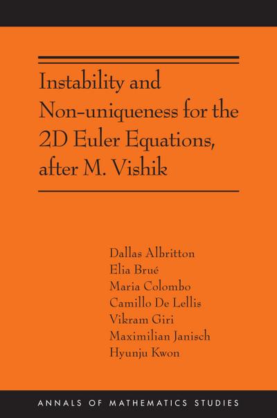 Instability and Non-Uniqueness for the 2D Euler Equations, After M. Vishik