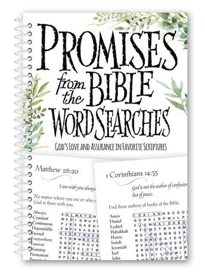Promises from the Bible Word Searches