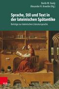 Sprache, Stil und Text in der lateinischen Spätant