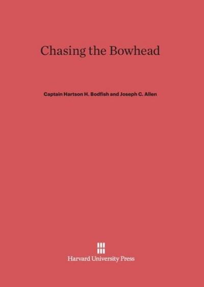 Chasing the Bowhead