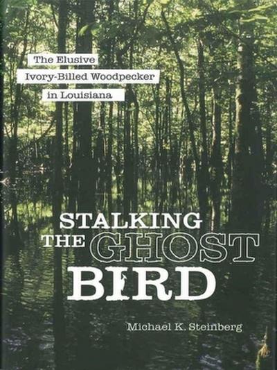 Stalking the Ghost Bird