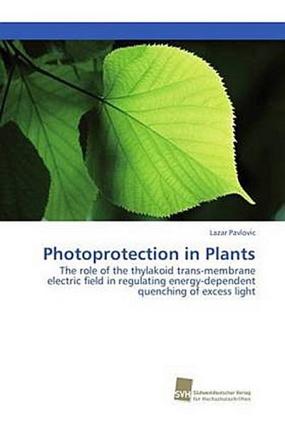 Photoprotection in Plants
