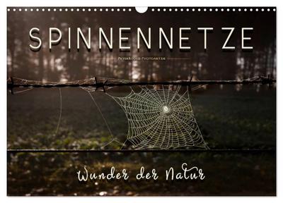 Spinnennetze - Wunder der Natur (Wandkalender 2026 DIN A3 quer), CALVENDO Monatskalender