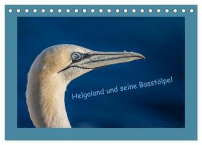 Helgoland und seine Basstölpel (Tischkalender 2026 DIN A5 quer), CALVENDO Monatskalender