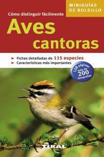 Aves de canto