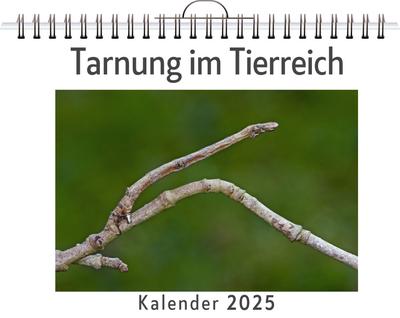 Koch, N: Tarnung im Tierreich