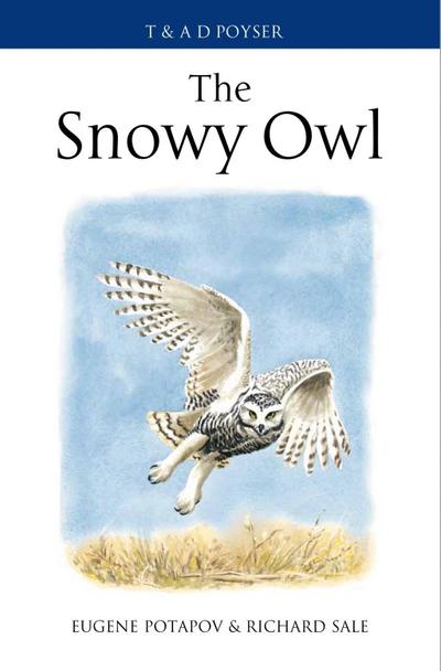 The Snowy Owl