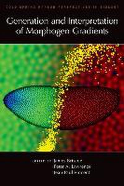 Generation and Interpretation of Morphogen Gradients