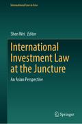 International Investment Law at the Juncture