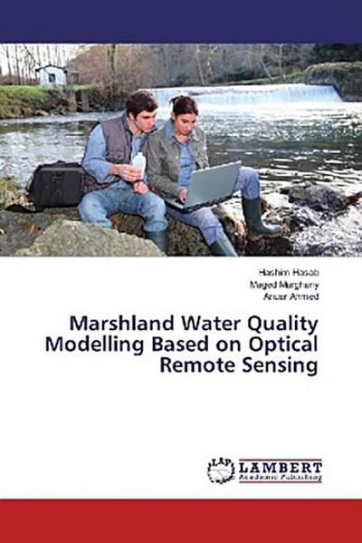 Marshland Water Quality Modelling Based on Optical Remote Sensing