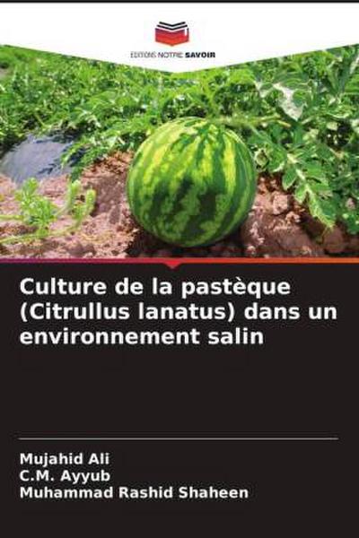 Culture de la pastèque (Citrullus lanatus) dans un environnement salin