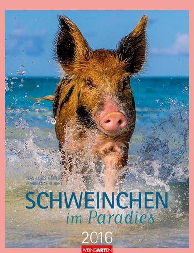 Schweinchen im Paradies 2016