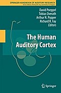 The Human Auditory Cortex