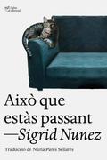 Això que estàs passant