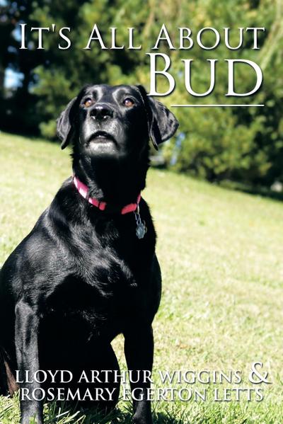 It’s All about Bud