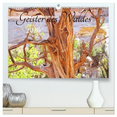 Geisterbäume (hochwertiger Premium Wandkalender 2026 DIN A2 quer), Kunstdruck in Hochglanz