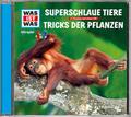 Superschlaue Tiere/Tricks der Pflanzen