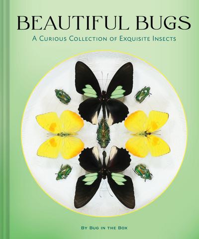 Beautiful Bugs
