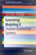 Geoenergy Modeling II