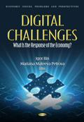 Digital Challenges: What Is the Response of the Economy?