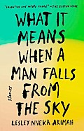 What It Means When a Man Falls from the Sky