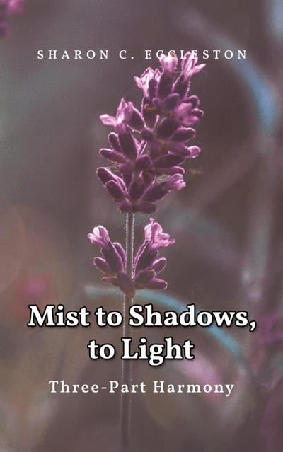 Mist to Shadows, to Light