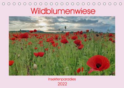 Wildblumenwiese Insektenparadies (Tischkalender 2022 DIN A5 quer)