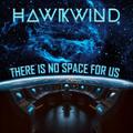 There Is No Space For Us,2 Schallplatte (Black Vinyl 2LP)