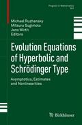 Evolution Equations of Hyperbolic and Schrödinger 