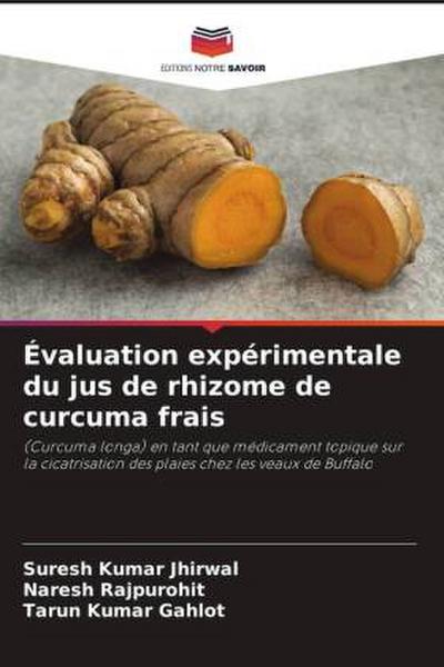 Évaluation expérimentale du jus de rhizome de curcuma frais