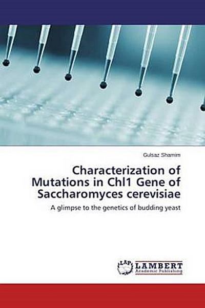 Characterization of Mutations in Chl1 Gene of Saccharomyces cerevisiae