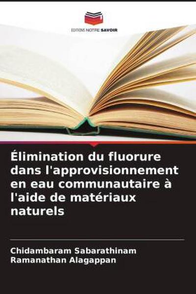 Élimination du fluorure dans l’approvisionnement en eau communautaire à l’aide de matériaux naturels