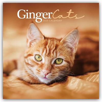 Ginger Cats - Rothaarige Katzen 2025 - Wand-Kalender