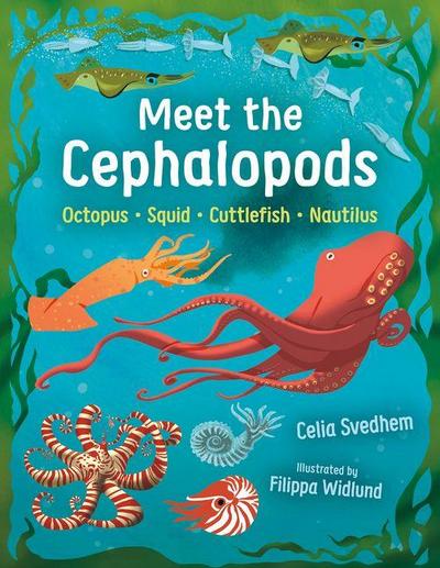 Meet the Cephalopods