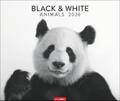 Black & White Animals 2026