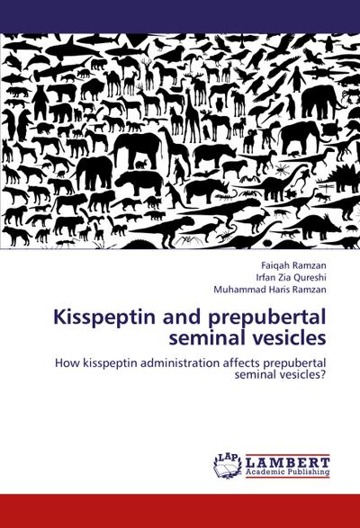 Kisspeptin and prepubertal seminal vesicles