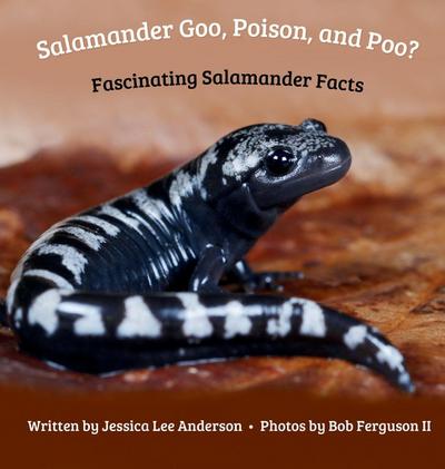 Salamander Goo, Poison, and Poo? Fascinating Salamander Facts