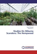 Studies On Mikania Scandens: The Hempweed