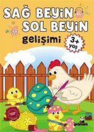 3 Yas Sag Beyin-Sol Beyin Gelisimi